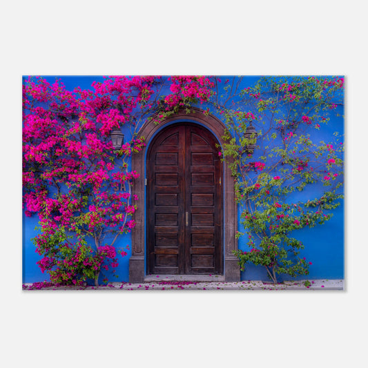 1c3b3a76-c7e5-484a-b37e-4f873593192a